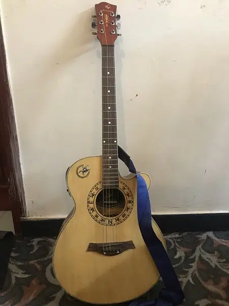 SEMI-ACOUSTIC GUITAR FOR SALE COMPANY:swift horse